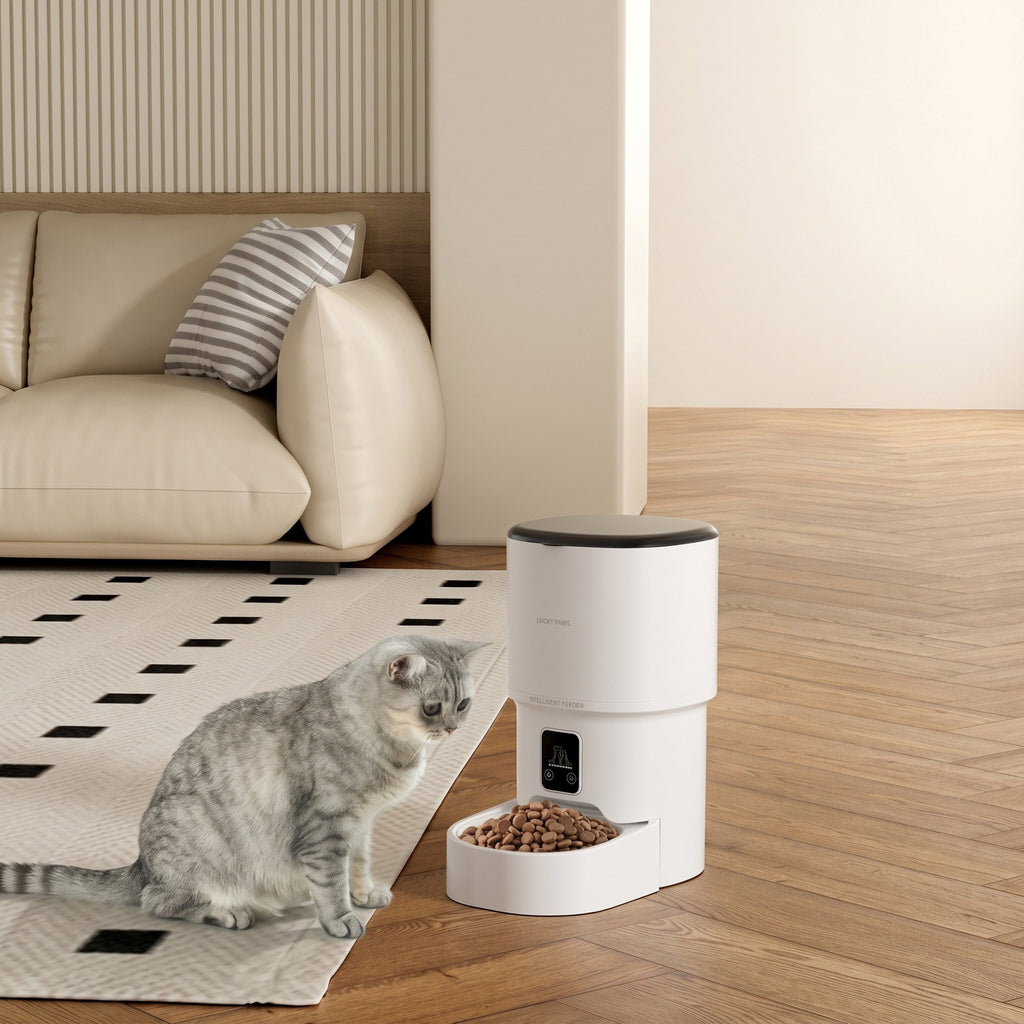 Chat gris assis à côté du distributeur automatique Homely Paws dans un salon chaleureux